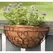 Panacea 16" Cameo Series Wall Planter