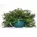 BLD 08.00 HANGING BASKET WITH SAUCER WITH 19" FLEX HANGER GREEN 50 PER CASE 44 CASES PER PALLET