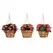 Deer Park Hanging Basket Variety Pk 2 Floral Daisy Ribbon Arch