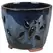 MCarr 5.1" Butterfly Orchid Pot Ocean Blue