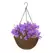 Panacea 14" Resin Woven Hanging Basket Esp Brown