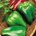Peppers, Big Bertha Hybrid 1,000 Seed