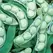 Limas, Willow Leaf Pole - 1lb