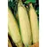 Corn, White Truckers Favorite O.P. - 25lb