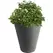 Algreen 15" D x 18.5" H Round Ribbed Planter Charcoal