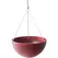 Algreen 14" Acerra Hanging Basket Red Marble
