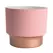HC 7" Sprite Succulent Pot Blush