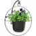 Panacea 17" Modern Farmhouse Round Ring with 9" Hanging Planter Matte Black