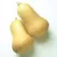 Squash, Early Butternut Hybrid Treated - 500 Seed Count