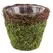 SuperMoss Small Deco Basket Vineyard Fresh Green