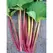 Rhubarb, Victoria - 1lb