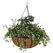 WSP 14" Forge Hanging Basket With Coco Liner