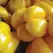 Peppers, Golden Cal Wonder - 10,000 Seed Count