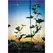 Tenax 48"x250' Plant Trellis Net Hortonova