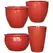 MCarr 26pc Mixed Daisy Planter Pallet Red