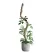 Mossify 42" Bendable Moss Pole