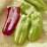 Peppers, Giant Marconi Treated - 5,000 Seed Count