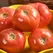 Tomato, Pink Girl Hybrid Treated - 10,000 Seed Count