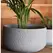 Avenue 8.5" Corrugated Bowl Planter GCC