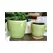 Jewel 6.5" Freeform Pot Pst