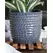 Palm Spring 7.5" Honey Comb Planter Dnm