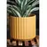 Palm Spring 5.5" Brush Comb Mst Planter