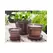 Verandah 8x6.5 Oxi Standard with Saucer