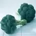 Broccoli, Diplomat Treated - 10,000 Seed Count