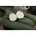 Cucumber, Peticue (patio) - 5000 Seed Count