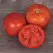 Tomato, Mountain Man - 100 Seed Count