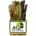 A&G 1011pc Plant Support Stake & Bamboo Display