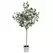 Algreen 71" Eucalyptus