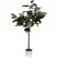 Algreen 67" Oak Tree