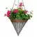 Braun 12" Rattan Cone