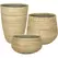 MCarr 24pc Canxe Bamboo Planter Pallet Natural