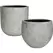 MCarr 16pc Ficonstone Root Planter Pallet Fossil Wood