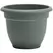 Bloem 10" Ariana Planter Basil