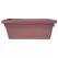 Bloem 18" Amelia Window Box Dusty Rose