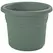 Bloem 6" Posy Planter Basil