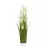 Algreen 48" Short Reed Grass