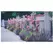 DHTG 19 X30 Digital Print Flowers Fence