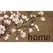 DHTG 18x28 PVC Coir Mat Cherry Blossoms