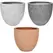 MCarr 27pc Egg Planter Pallet Mixed Colors