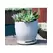 Verandah 5" Wsp Maui Pot