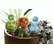 E-V 12pc Globe Plant Quencher Display Assortment