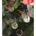 E-V 24pc Small Garden Critter Pot Sticker Display Assorted