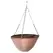 Gardener Select 12" Plastic Round Hanging Basket Rust 24/CS