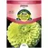 ZINNIA, ENVY 590 MG.
