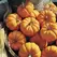 Pumpkin, Jack-B-Little - 1/2lb