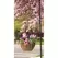 Panacea 12" Hanging Basket Growers Green
